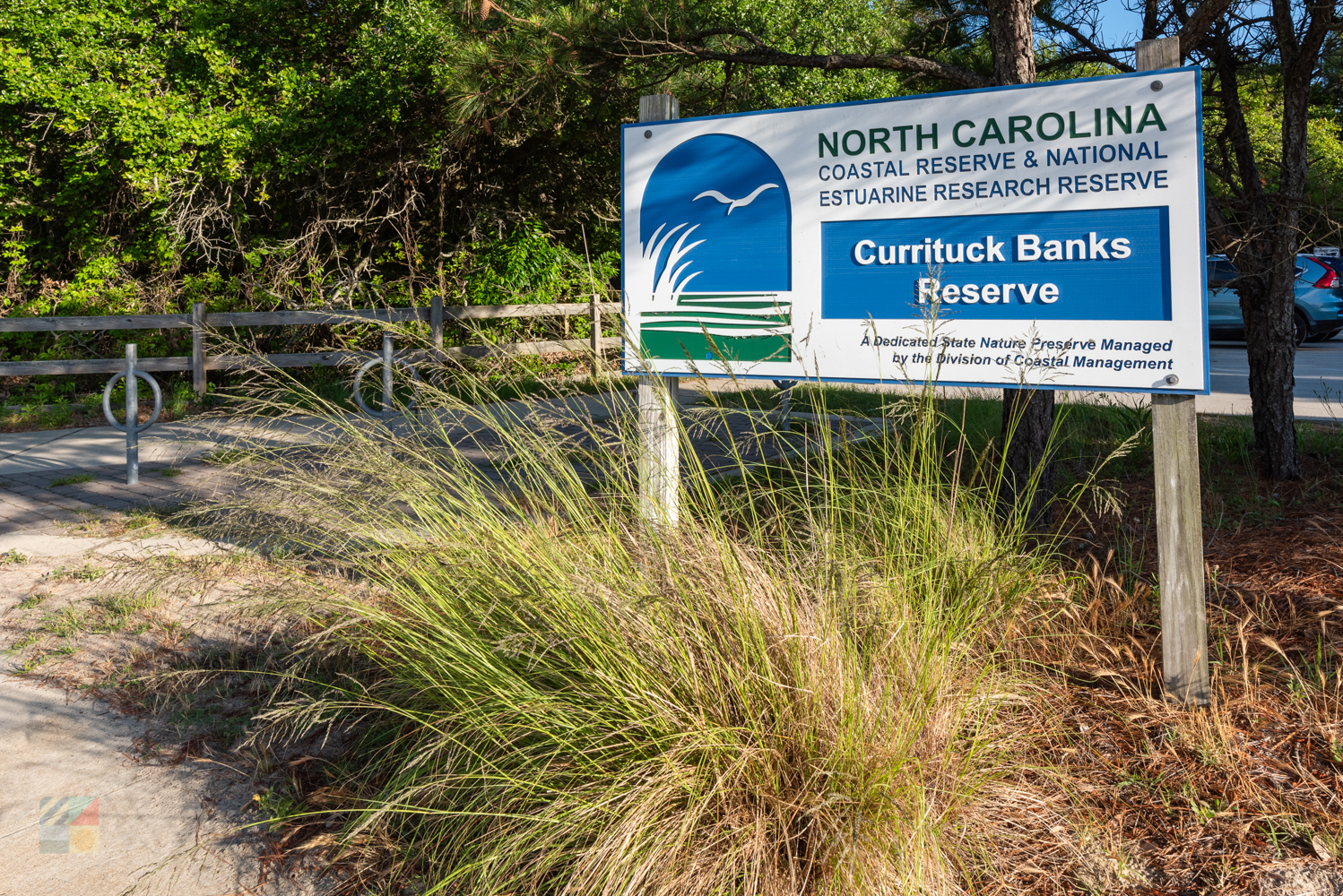 Currituck Banks Coastal Estuarine Reserve