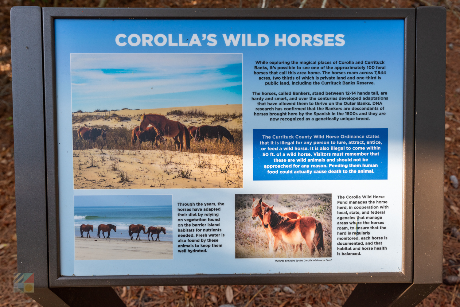 Currituck Banks Coastal Estuarine Reserve