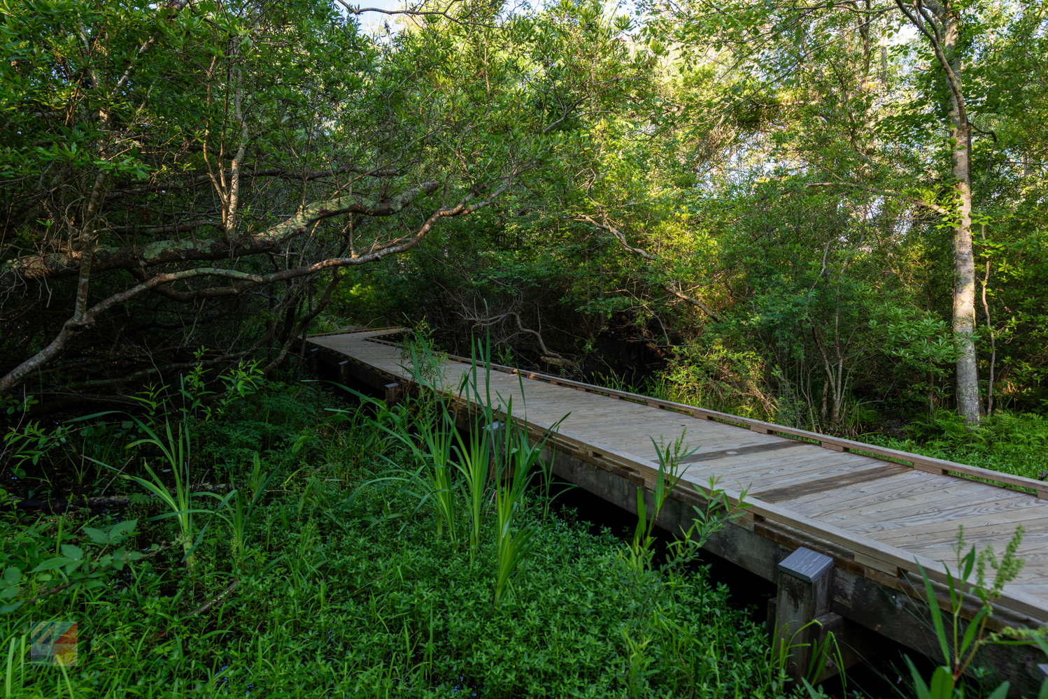 Currituck Banks Coastal Estuarine Reserve