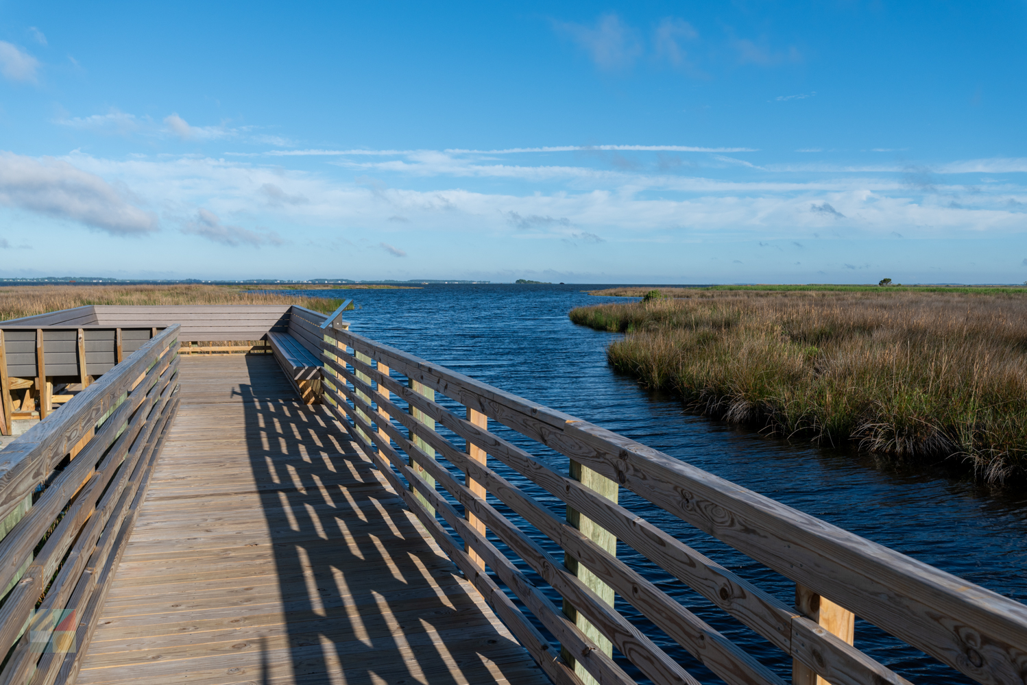 Currituck Banks Coastal Estuarine Reserve