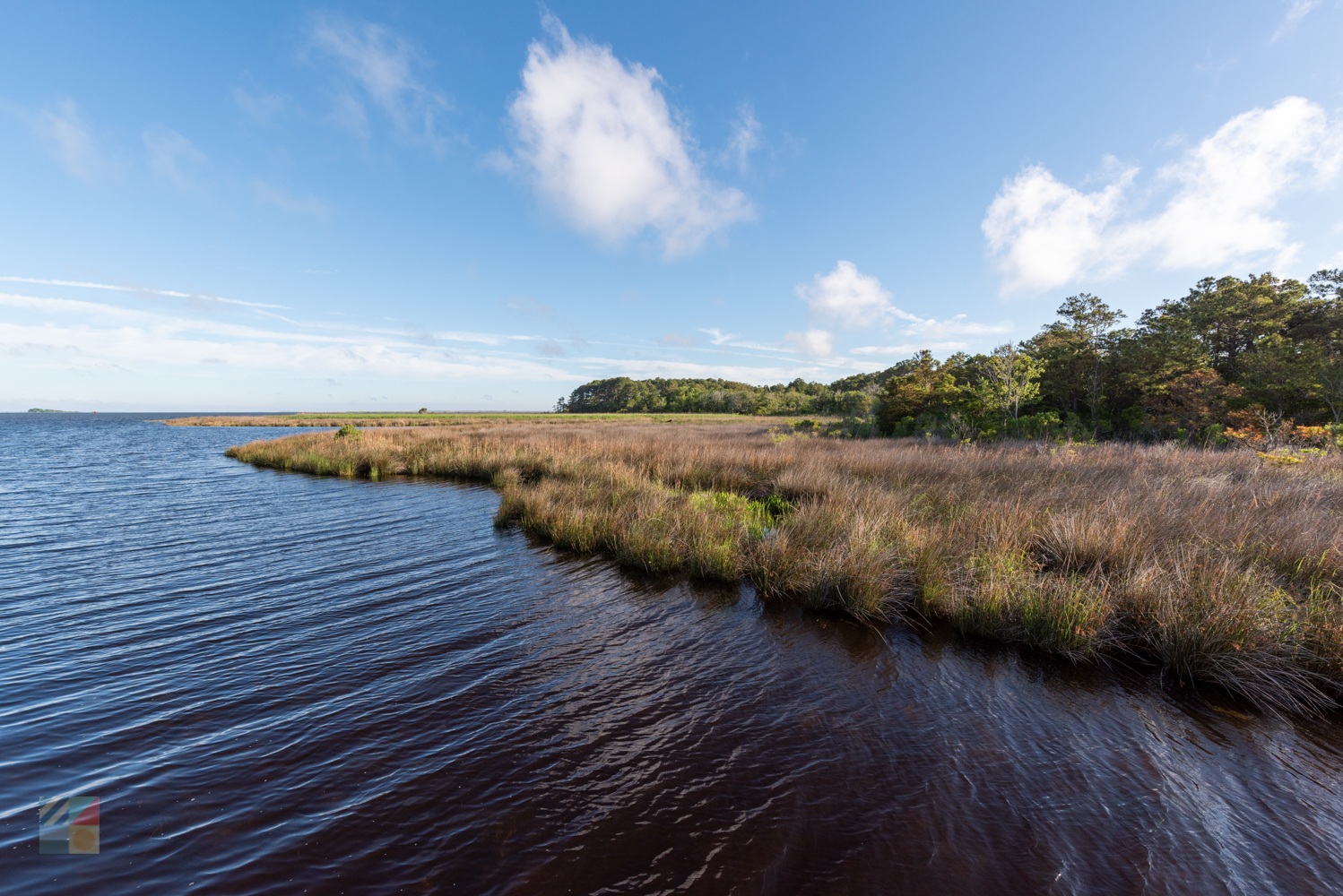 Currituck Banks Coastal Estuarine Reserve