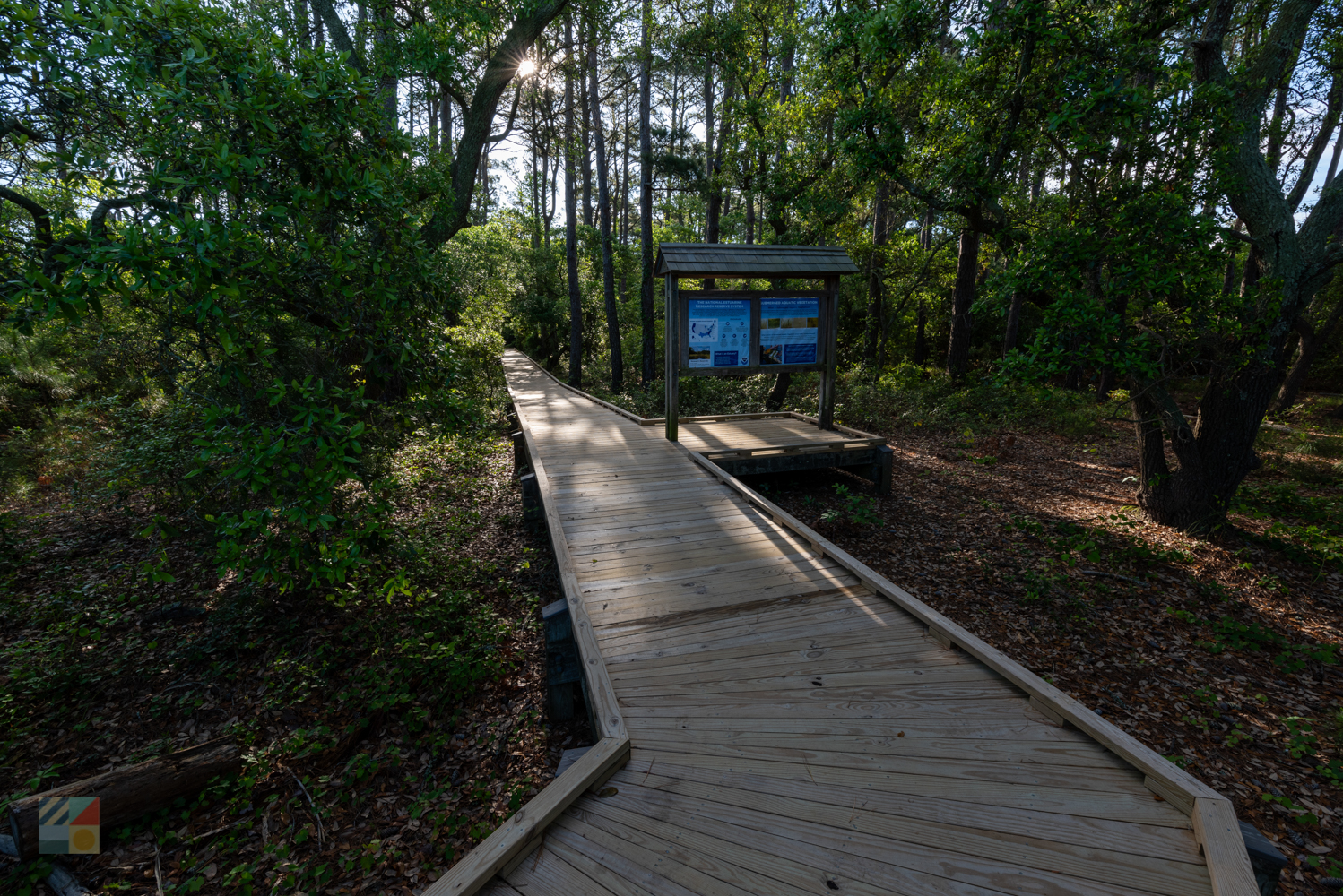 Currituck Banks Coastal Estuarine Reserve