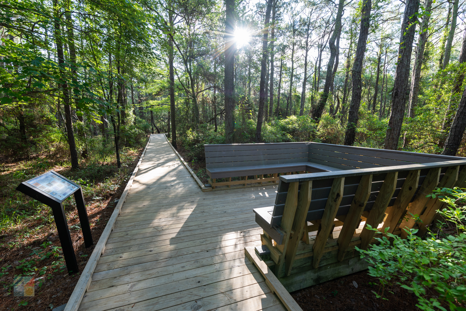 Currituck Banks Coastal Estuarine Reserve