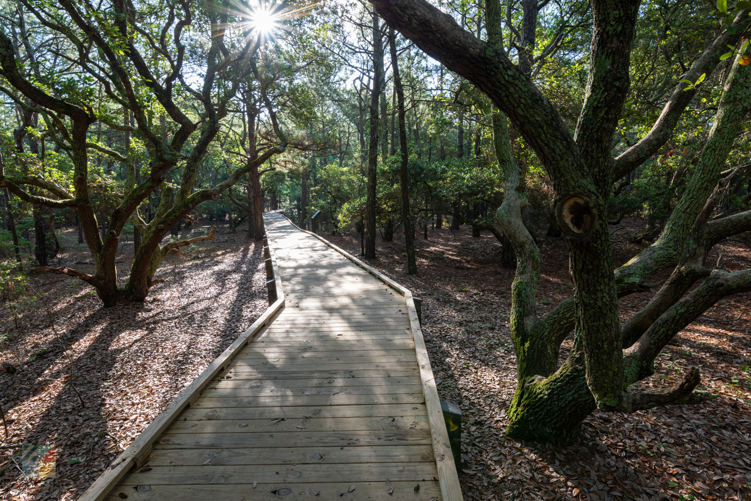 Currituck Banks Coastal Estuarine Reserve