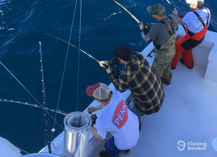 charter image 2