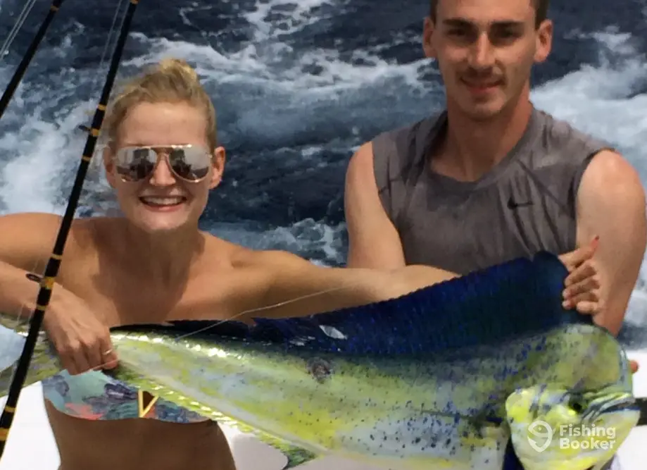 charter image 5