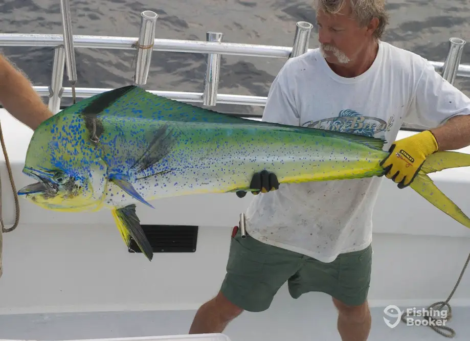 charter image 2