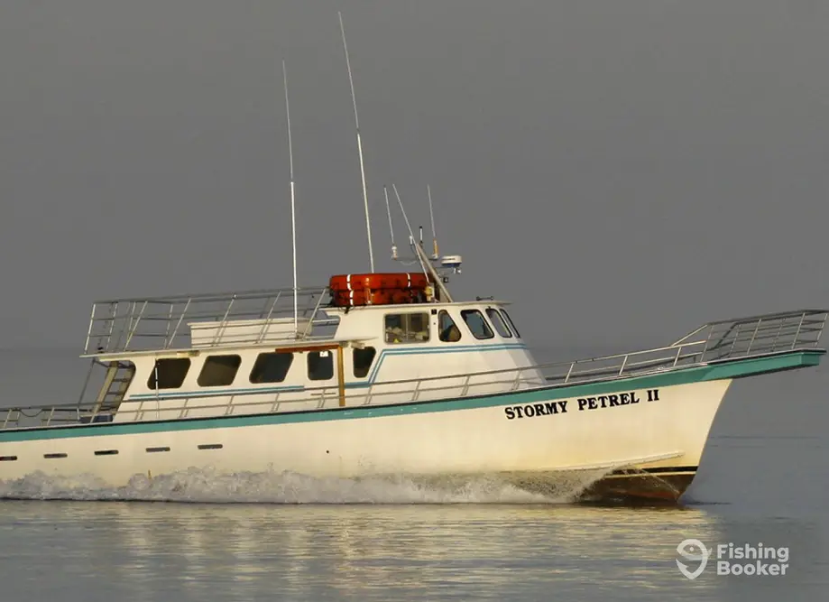 charter image 4