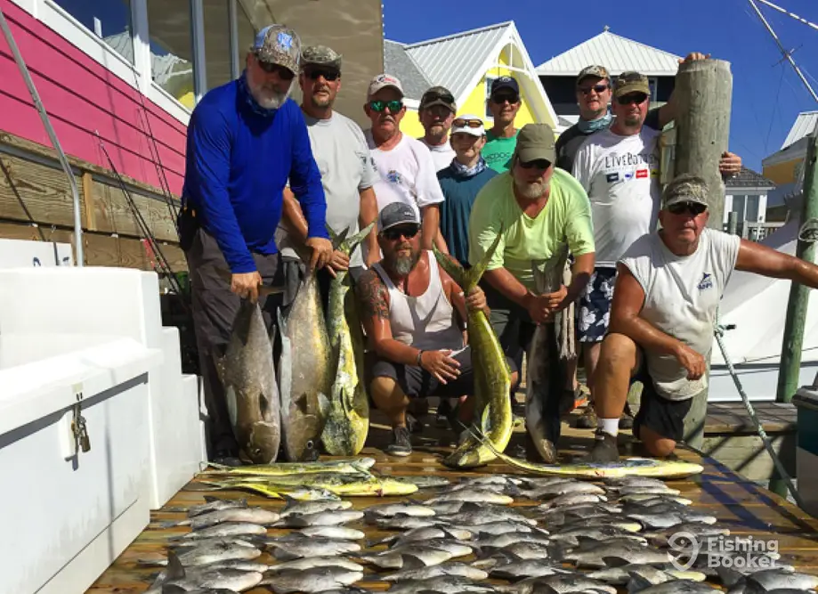 charter image 5