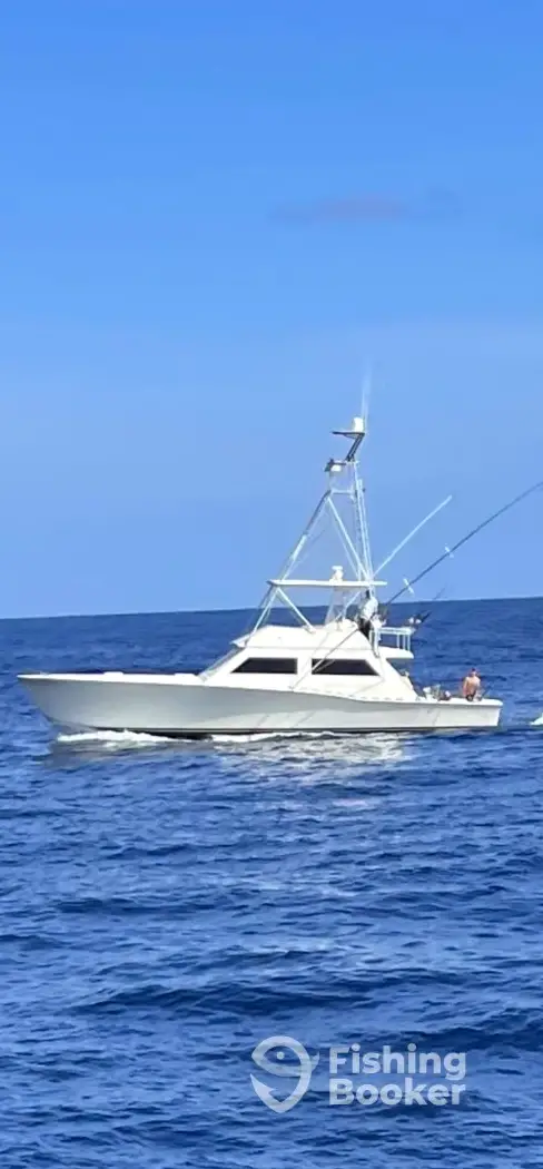 charter image 5