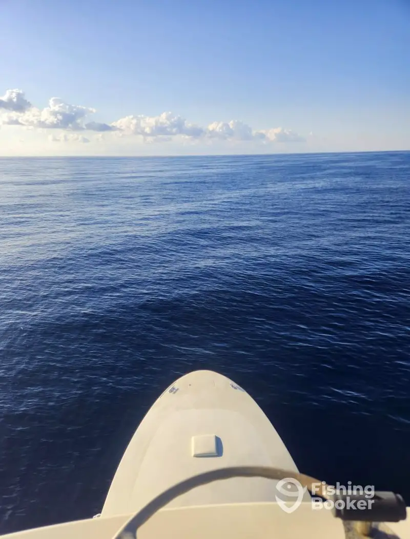charter image 6