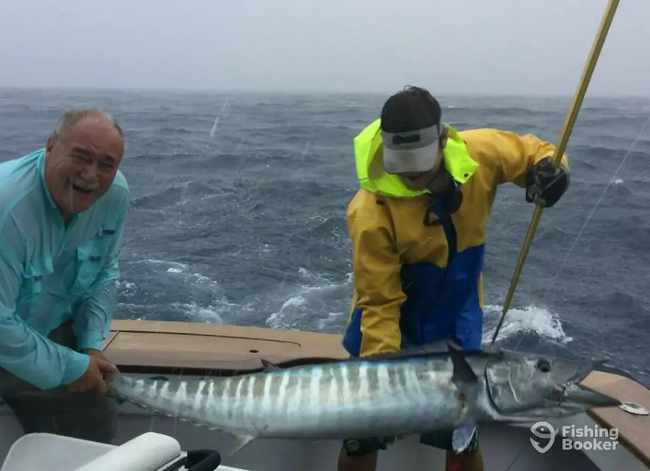 charter image 4