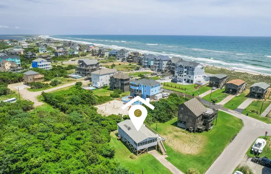 7919 - Tipsea Turtle