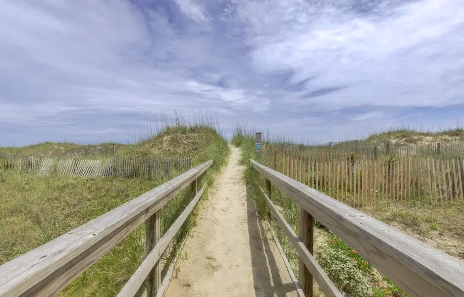 7919 - Tipsea Turtle